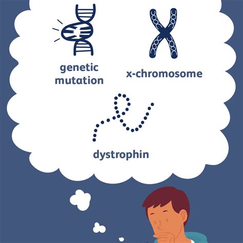 Muscular Dystrophy