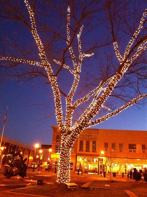 Outdoor Tree Lights for Christmas | Outdoor Christmas Lights Installed