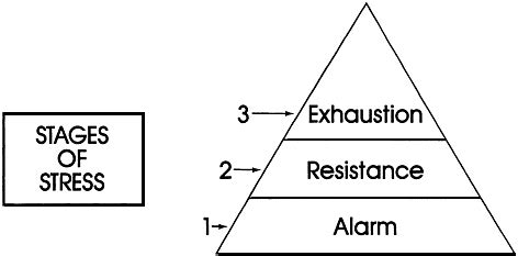 According to the General Adaptation Syndrome (GAS), how many stages of stress are there? | Socratic