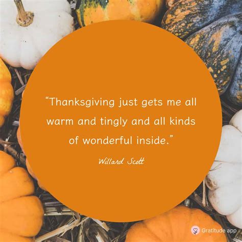 60+ Best Thanksgiving Quotes to Spread Gratitude Everywhere