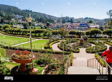 Beautiful view of botanical garden and rose garden of Ooty Tamil Nadu ...