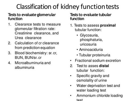 KIDNEY FUNCTION TEST