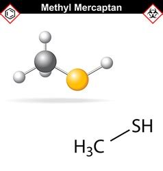 Ethyl mercaptan chemical structure Royalty Free Vector Image