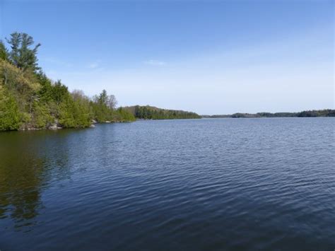 Shelburne Pond - 2021 All You Need to Know BEFORE You Go (with Photos) - Tripadvisor