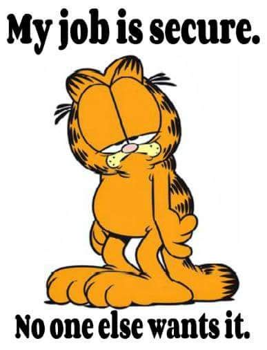 Garfield quote | Garfield quotes, Funny cartoon quotes, Funny quotes