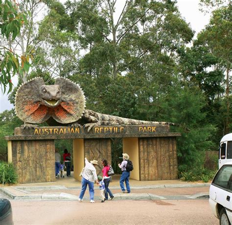 Australian Reptile Park | Australian Traveller