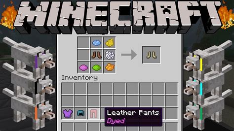 How To Change The Color Of A Wolf's Collar In Minecraft Pe at Greg Steen blog