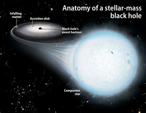 Anatomy of a stellar mass black hole [Source: Astronomy/Roen Kelly ...