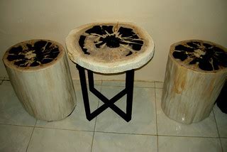 PETRIFIED WOOD COFFEE TABLE | IndoGemstone Petrified Wood | Flickr