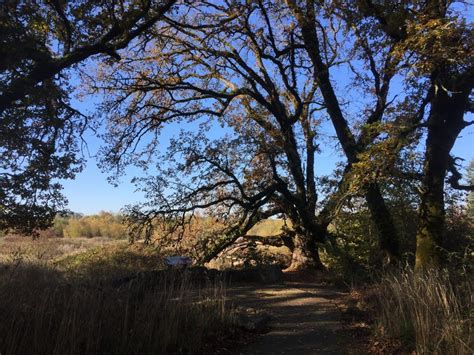 Ridgefield National Wildlife Refuge Carty Unit – Jim's Trails