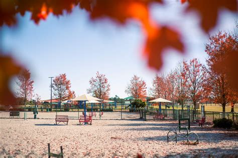 Photojournalism: Autumn on Fort Gordon - The Augusta Press