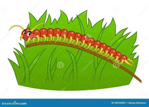 Cartoon Centipede | CartoonDealer.com #68925085