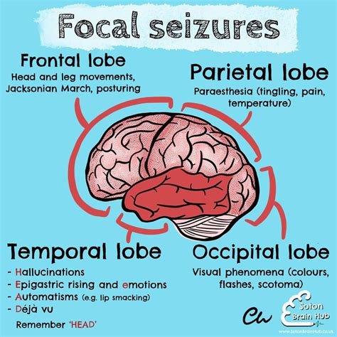 Jacksonian March : Epilepsy involves abnormal activity in the brain ...