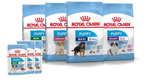 Royal Canin Maxi Puppy Food Feeding Chart - Puppy And Pets