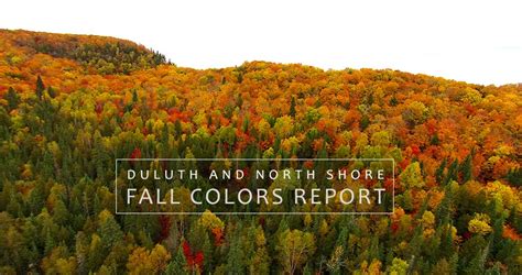 Minnesota North Shore Fall Colors Report 2019 - Perfect Duluth Day