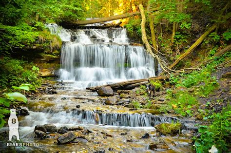 A List of Enchanting Michigan Waterfalls to Visit Year Round | Michigan