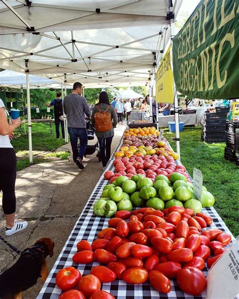 10 Local Farmers' Markets in Chicago Opening This Summer | UrbanMatter