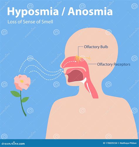 Anosmia Concept. Dysfunctional Smell Detection. People With A Sense ...