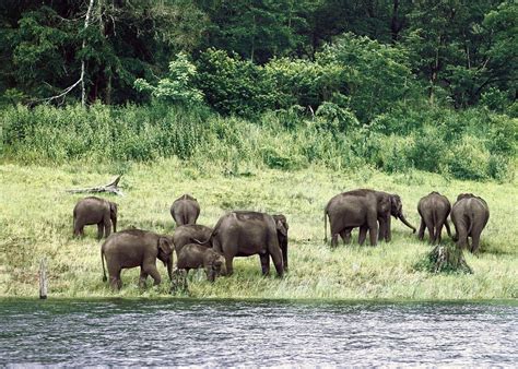 Visit Nagarhole National Park in India | Audley Travel