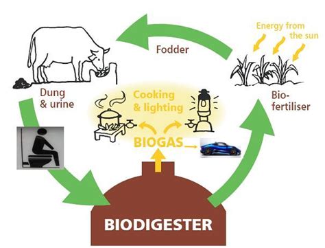 Biogas - Never ending source of Fuel, Electricity & Fertilizer - PluginIndia Electric Vehicles