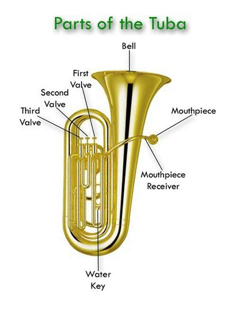 Parts of a Tuba Teaching Band, Teaching Music, Band Teacher, Music Teacher, Tuba, Band Geek ...