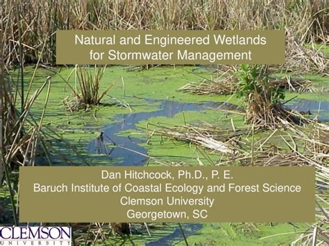 (PDF) Natural and Engineered Wetlands for Stormwater Management · General Stormwater Wetland ...