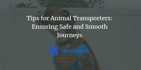 Tips for Animal Transporters: Ensuring Safe and Smooth Journeys