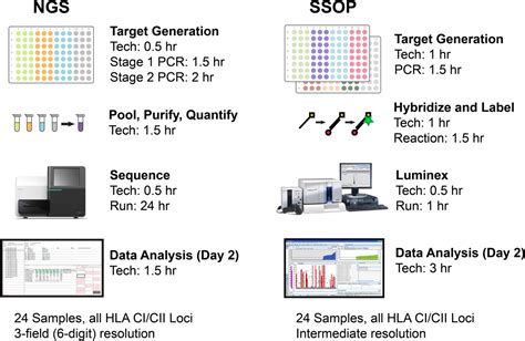 Comparison of sequence‐specific oligonucleotide probe vs next generation sequencing for HLA‐A, B ...