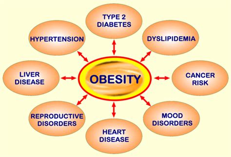 EFFECTS OF OVERWEIGHT AND OBESITY - WEIGHT MANAGEMENT EXPERT +233248597897