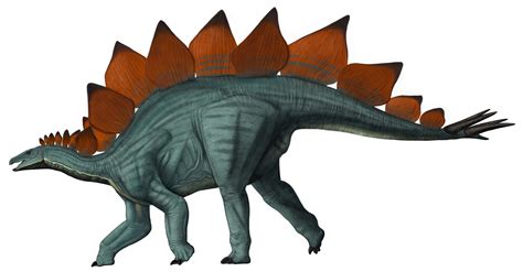 Stegasaurus