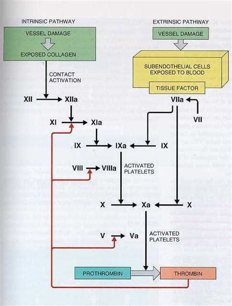 activation