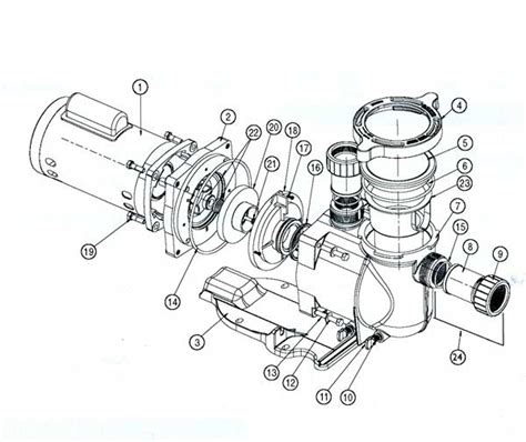 Pentair Pool Pump Diagram - Wiring Diagram