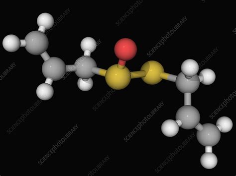 Allicin molecule - Stock Image - F004/5516 - Science Photo Library