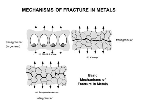 Ductile Fracture In Metals