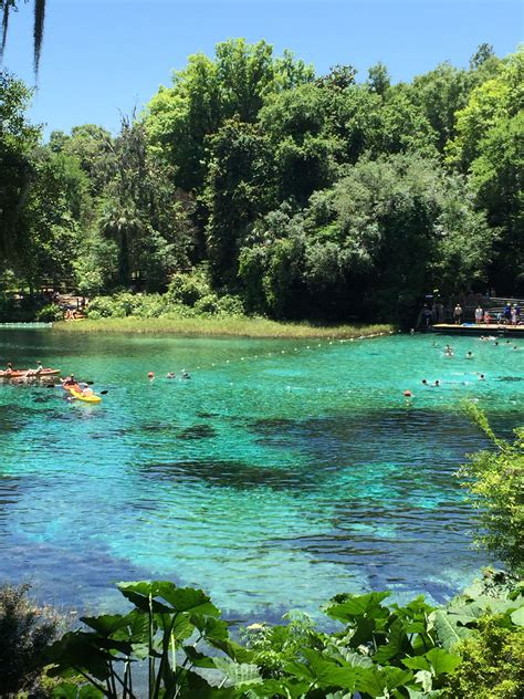 Rainbow Springs State Park in Dunnellon, Florida | Rainbow springs state park, Places to go ...