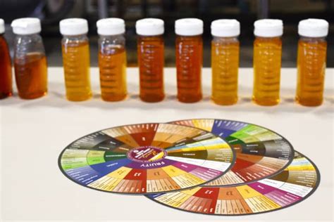 Shopping for Honey: What to Know About Honey Color, Varietals, and Finding a Honey You Really ...