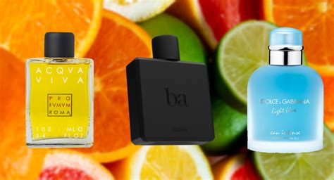 10 Best Citrus Colognes for Men - Orlando Magazine