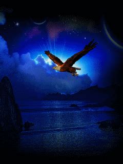 Fly free ~ Awesome gif . Beautiful Gif, Beautiful Birds, Beautiful Pictures, Animated ...
