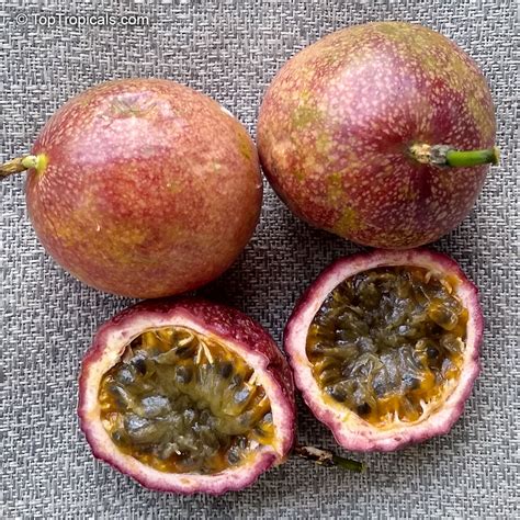 Passiflora edulis, Passion Fruit, Parcha, Maracuya, Granadilla