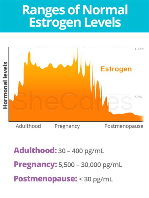 Estrogen Levels | SheCares