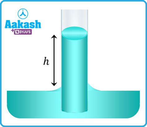 Capillarity: Determination, Application & Examples | AESL