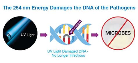 Medical Application Basics – Top Manufacturer of Advanced UV ...