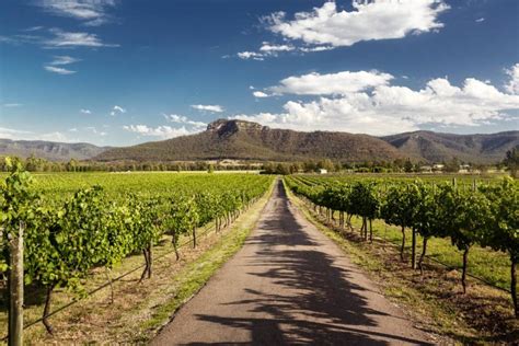 Taking a Hunter Valley Wine Tour From Sydney – Sydney Expert