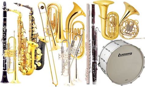 Choosing the Right Band Instrument for Your Child | Spinditty