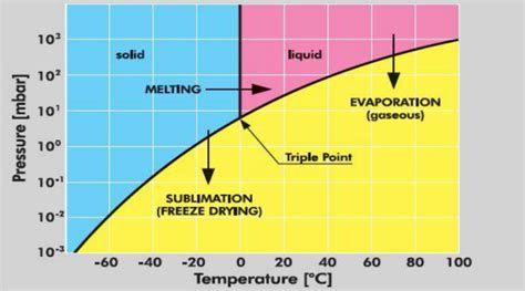 Figure-4-Freeze-drying-process | PDXWildlife