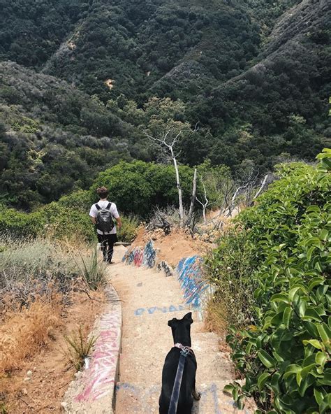 Hikes in Los Angeles: 8 trails with spectacular endings - Curbed LA | Hikes in los angeles ...