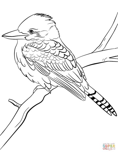 Laughing Kookaburra coloring page | Free Printable Coloring Pages