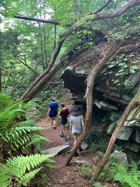 Hiked into Linville Gorge today. | CarolinaFirearmsForum