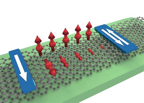 Graphene bilayer provides efficient transport and control of spins