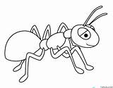 Ant Coloring Page » Turkau sketch template
